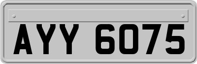 AYY6075