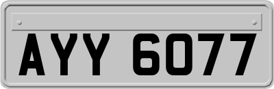 AYY6077