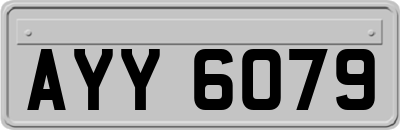 AYY6079