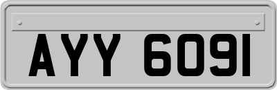 AYY6091