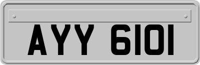 AYY6101