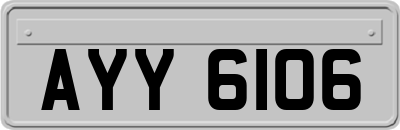 AYY6106