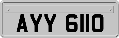 AYY6110