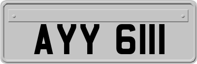 AYY6111