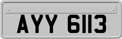 AYY6113