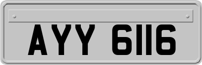 AYY6116