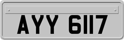 AYY6117