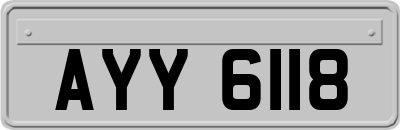 AYY6118