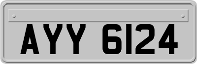 AYY6124