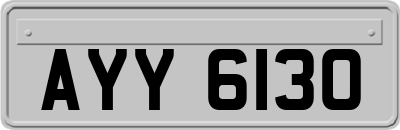 AYY6130