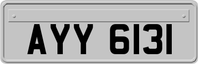 AYY6131