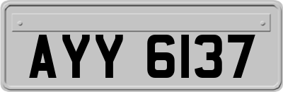 AYY6137
