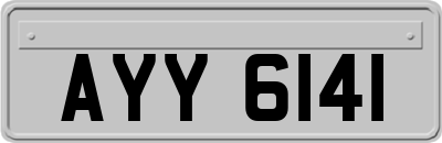 AYY6141