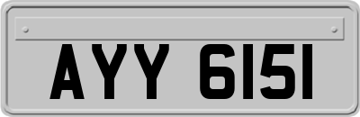 AYY6151