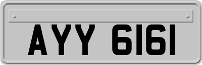 AYY6161