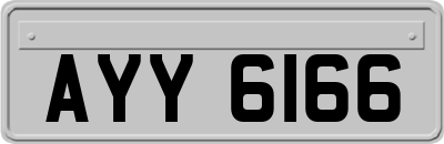 AYY6166
