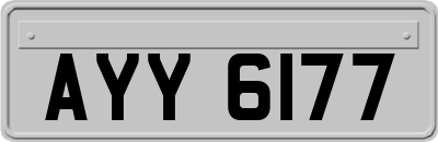 AYY6177