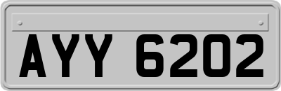 AYY6202