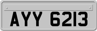 AYY6213