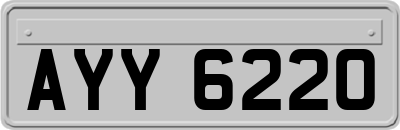 AYY6220
