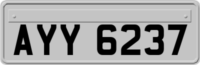 AYY6237