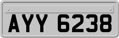 AYY6238