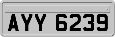 AYY6239