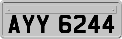 AYY6244