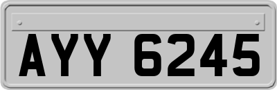 AYY6245