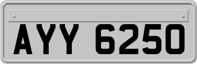 AYY6250