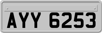 AYY6253
