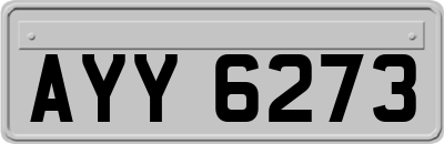 AYY6273