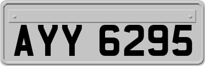 AYY6295
