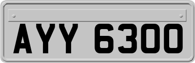 AYY6300