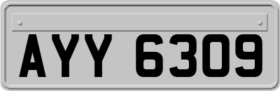 AYY6309