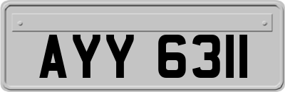 AYY6311