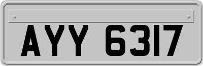 AYY6317