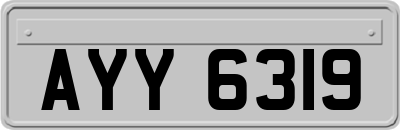 AYY6319