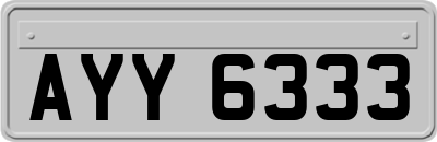 AYY6333