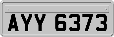 AYY6373