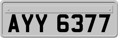 AYY6377