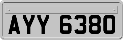 AYY6380