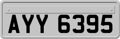 AYY6395