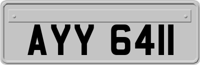 AYY6411