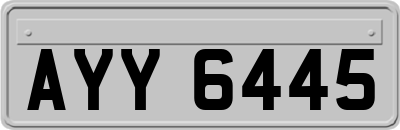 AYY6445