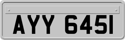 AYY6451