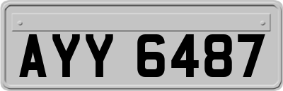 AYY6487