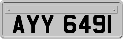 AYY6491