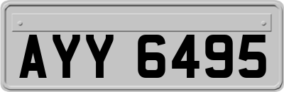 AYY6495