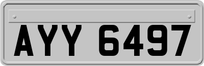 AYY6497